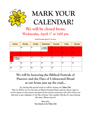 Sping festival closure dates