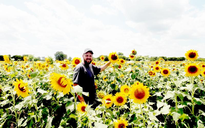 Our farmer Shomer in a field of sunflowers