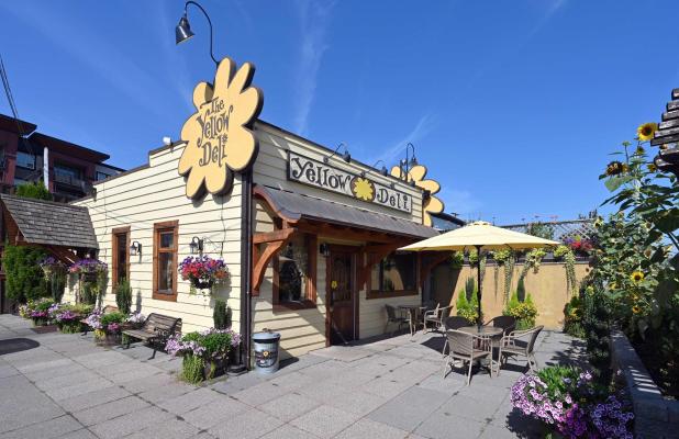 YD Side Front View in Bloom